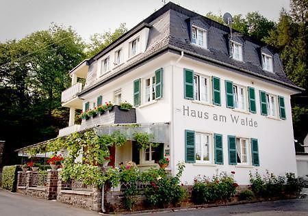 Pension "Haus Am Walde" Brodenbach, Mosel Екстер'єр фото