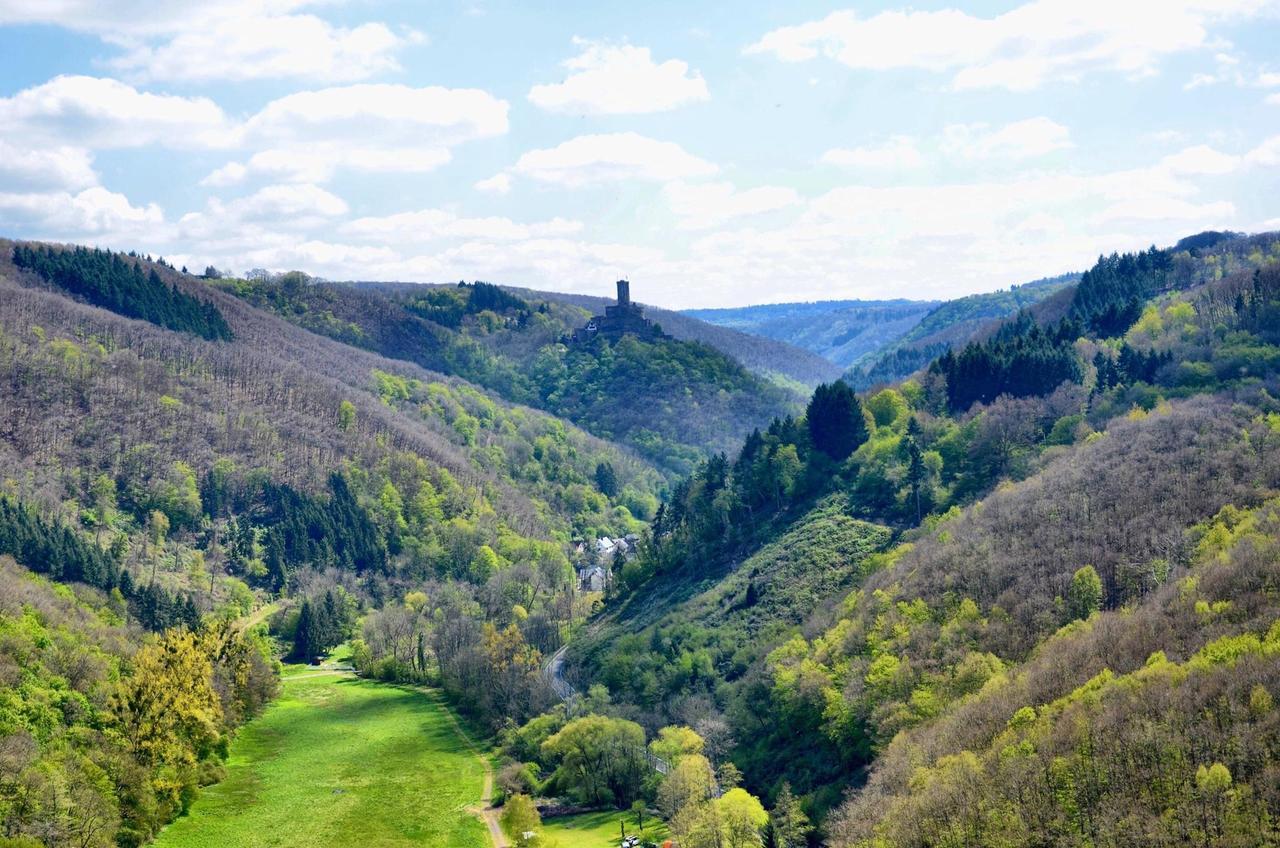Pension "Haus Am Walde" Brodenbach, Mosel Екстер'єр фото