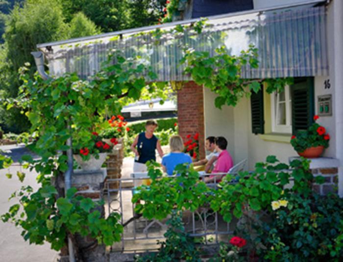 Pension "Haus Am Walde" Brodenbach, Mosel Екстер'єр фото