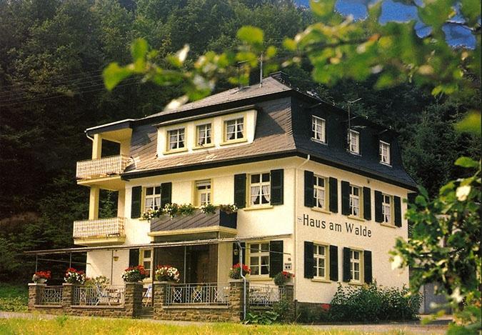 Pension "Haus Am Walde" Brodenbach, Mosel Екстер'єр фото