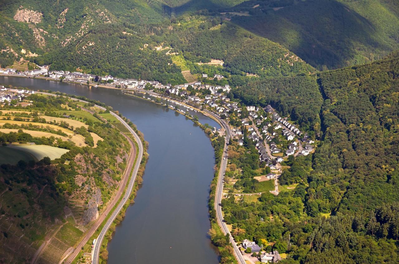 Pension "Haus Am Walde" Brodenbach, Mosel Екстер'єр фото