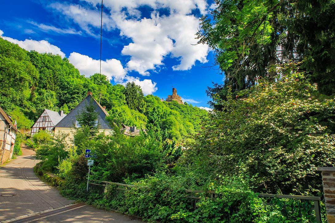 Pension "Haus Am Walde" Brodenbach, Mosel Екстер'єр фото
