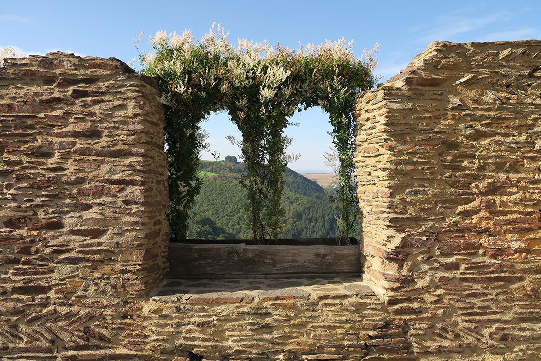 Pension "Haus Am Walde" Brodenbach, Mosel Екстер'єр фото