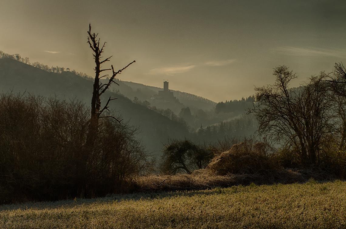 Pension "Haus Am Walde" Brodenbach, Mosel Екстер'єр фото