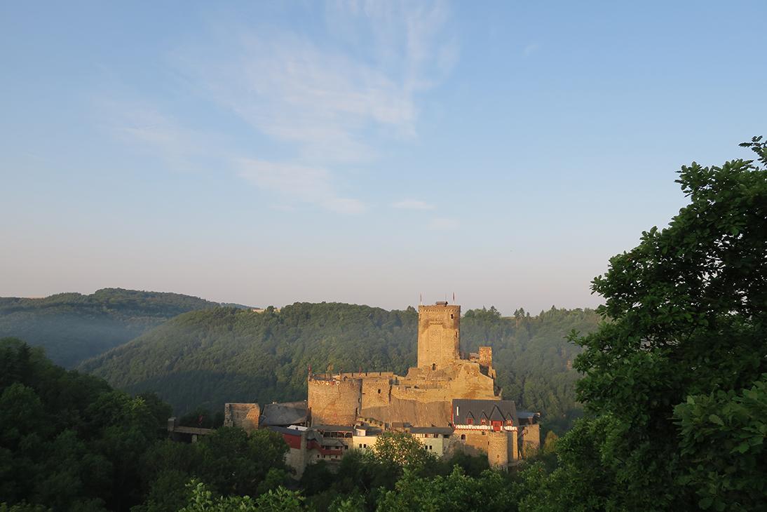 Pension "Haus Am Walde" Brodenbach, Mosel Екстер'єр фото